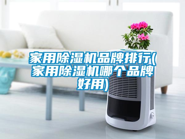 家用除濕機品牌排行(家用除濕機哪個(gè)品牌好用)