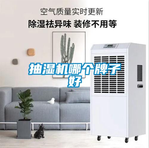 抽濕機哪個(gè)牌子好