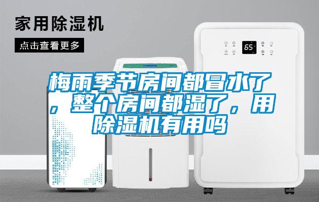 梅雨季節房間都冒水了，整個(gè)房間都濕了，用除濕機有用嗎