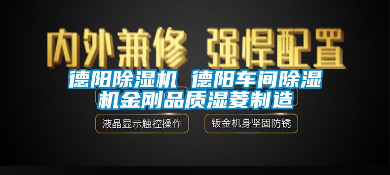 德陽(yáng)除濕機 德陽(yáng)車(chē)間除濕機金剛品質(zhì)濕菱制造