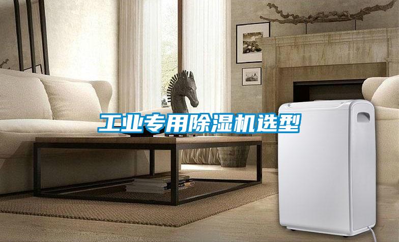工業(yè)專(zhuān)用除濕機選型
