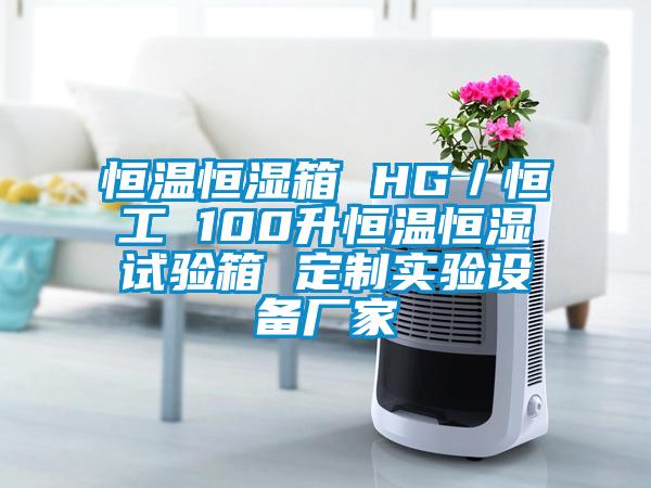 恒溫恒濕箱 HG／恒工 100升恒溫恒濕試驗箱 定制實(shí)驗設備廠(chǎng)家