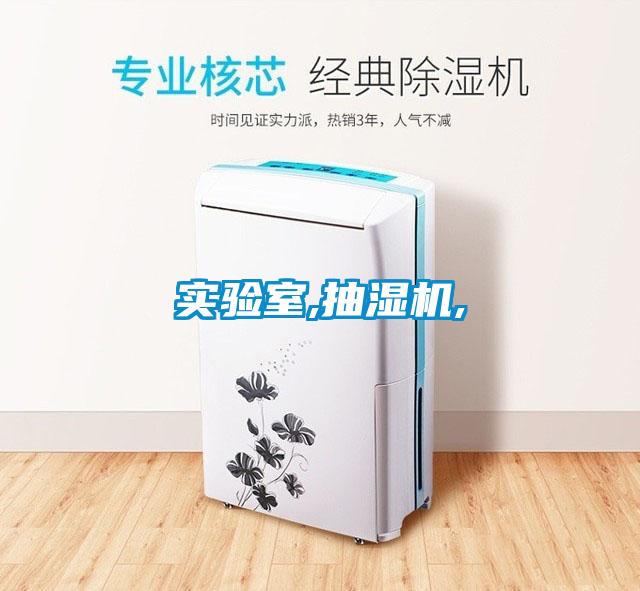 實(shí)驗室,抽濕機,