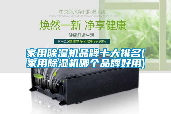 家用除濕機品牌十大排名(家用除濕機哪個(gè)品牌好用)
