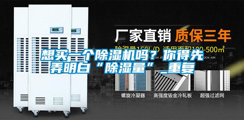 想買(mǎi)一個(gè)除濕機嗎？你得先弄明白“除濕量”_重復