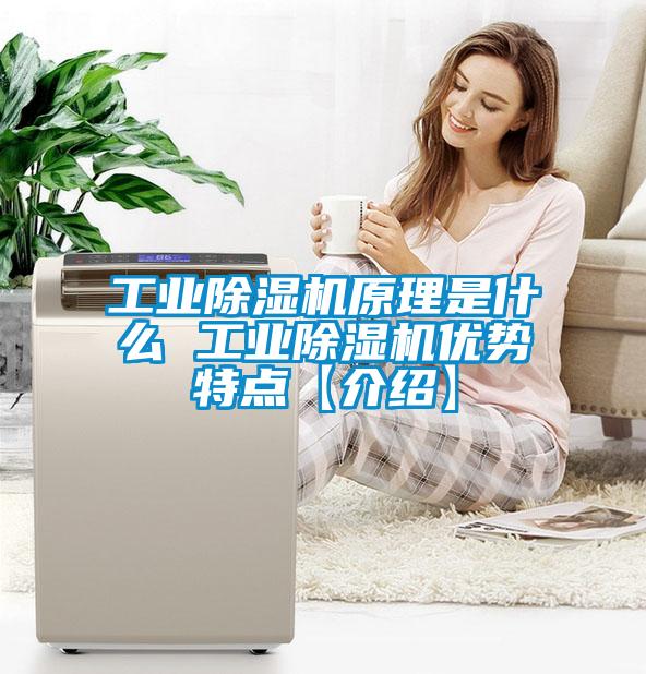 工業(yè)除濕機原理是什么 工業(yè)除濕機優(yōu)勢特點(diǎn)【介紹】