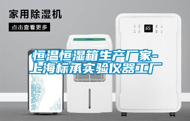恒溫恒濕箱生產(chǎn)廠(chǎng)家-上海標承實(shí)驗儀器工廠(chǎng)