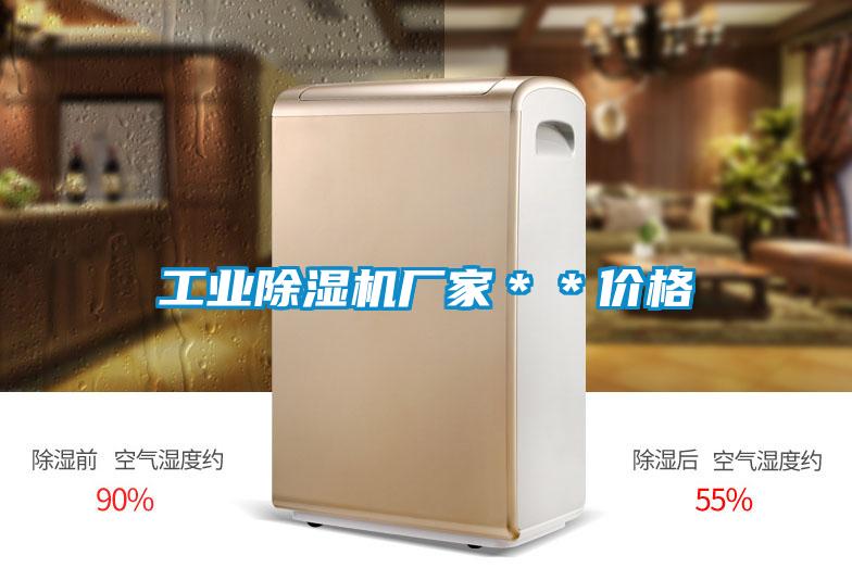 工業(yè)除濕機廠(chǎng)家＊＊價(jià)格