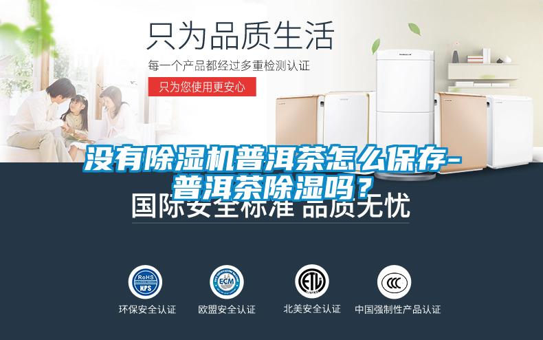 沒(méi)有除濕機普洱茶怎么保存-普洱茶除濕嗎？