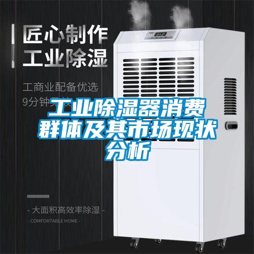 工業(yè)除濕器消費群體及其市場(chǎng)現狀分析