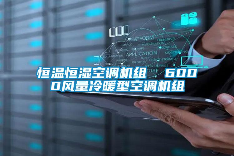 恒溫恒濕空調機組  6000風(fēng)量冷暖型空調機組