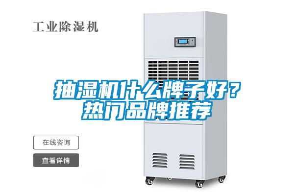 抽濕機什么牌子好？熱門(mén)品牌推薦