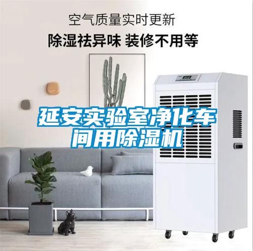 延安實(shí)驗室凈化車(chē)間用除濕機