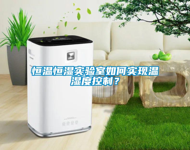 恒溫恒濕實(shí)驗室如何實(shí)現溫濕度控制？