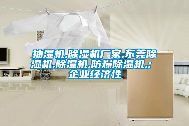 抽濕機,除濕機廠(chǎng)家,東莞除濕機,除濕機,防爆除濕機,; 企業(yè)經(jīng)濟性