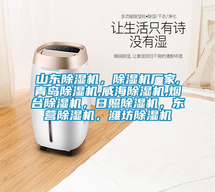 山東除濕機，除濕機廠(chǎng)家,青島除濕機,威海除濕機,煙臺除濕機，日照除濕機，東營(yíng)除濕機，濰坊除濕機