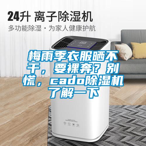 梅雨季衣服曬不干，要裸奔？別慌，cado除濕機了解一下