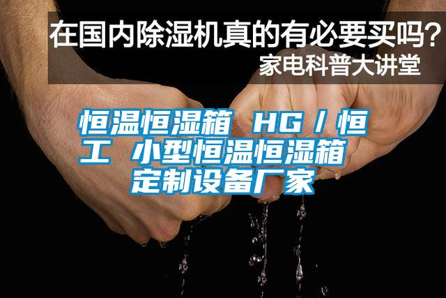 恒溫恒濕箱 HG／恒工 小型恒溫恒濕箱 定制設備廠(chǎng)家