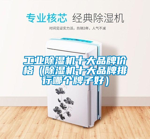 工業(yè)除濕機十大品牌價(jià)格（除濕機十大品牌排行哪個(gè)牌子好）