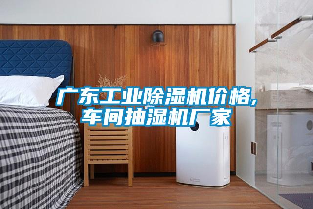 廣東工業(yè)除濕機價(jià)格,車(chē)間抽濕機廠(chǎng)家