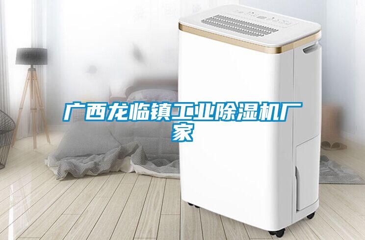 廣西龍臨鎮工業(yè)除濕機廠(chǎng)家