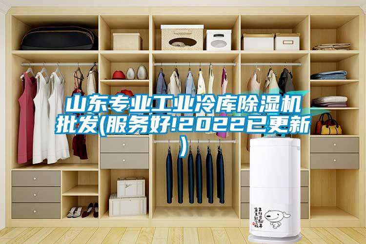 山東專(zhuān)業(yè)工業(yè)冷庫除濕機批發(fā)(服務(wù)好!2022已更新)