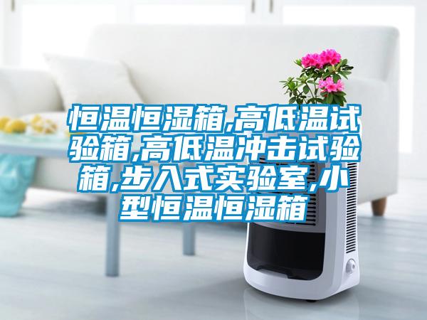恒溫恒濕箱,高低溫試驗箱,高低溫沖擊試驗箱,步入式實(shí)驗室,小型恒溫恒濕箱