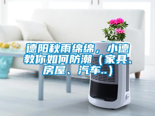 德陽(yáng)秋雨綿綿，小德教你如何防潮（家具、房屋、汽車(chē)..）