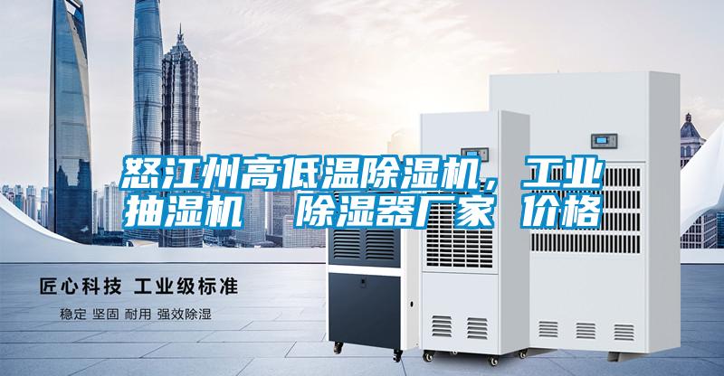 怒江州高低溫除濕機，工業(yè)抽濕機  除濕器廠(chǎng)家 價(jià)格