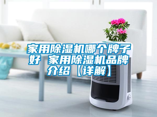 家用除濕機哪個(gè)牌子好 家用除濕機品牌介紹【詳解】