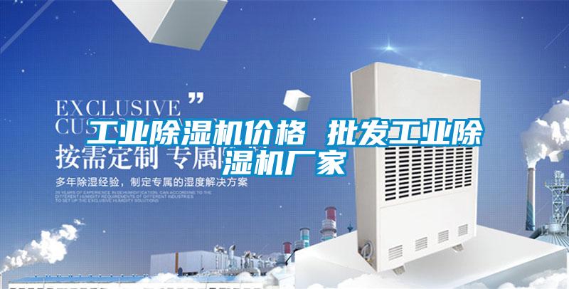 工業(yè)除濕機價(jià)格 批發(fā)工業(yè)除濕機廠(chǎng)家
