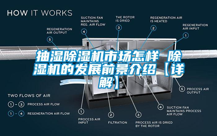抽濕除濕機市場(chǎng)怎樣 除濕機的發(fā)展前景介紹【詳解】