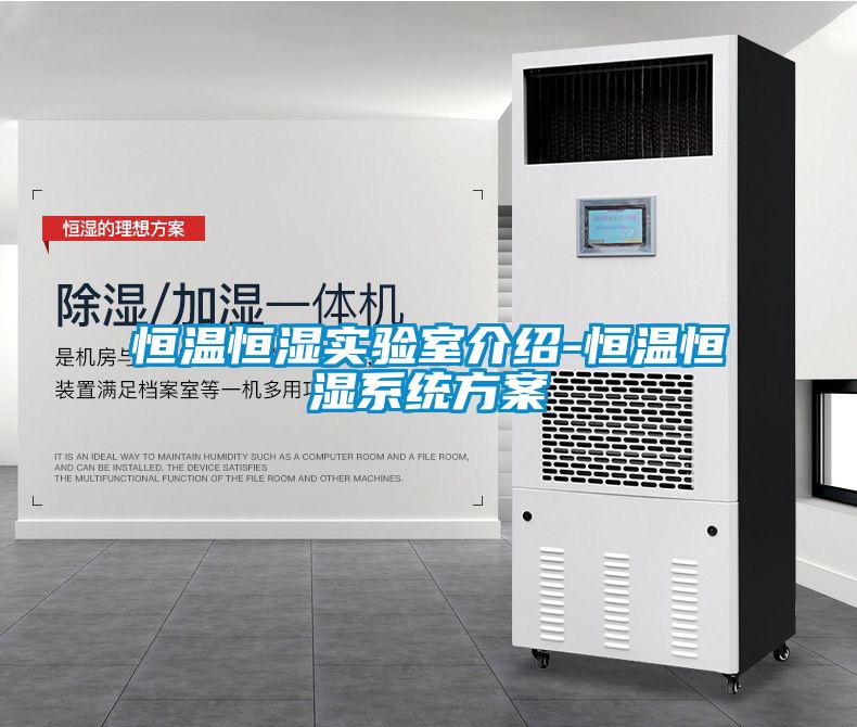 恒溫恒濕實(shí)驗室介紹-恒溫恒濕系統方案