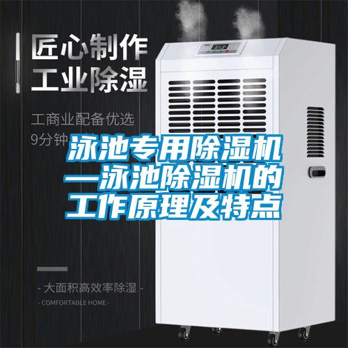 泳池專(zhuān)用除濕機—泳池除濕機的工作原理及特點(diǎn)