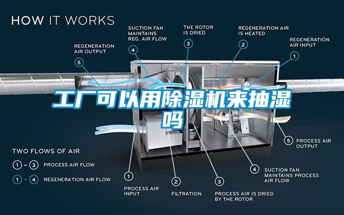 工廠(chǎng)可以用除濕機來(lái)抽濕嗎