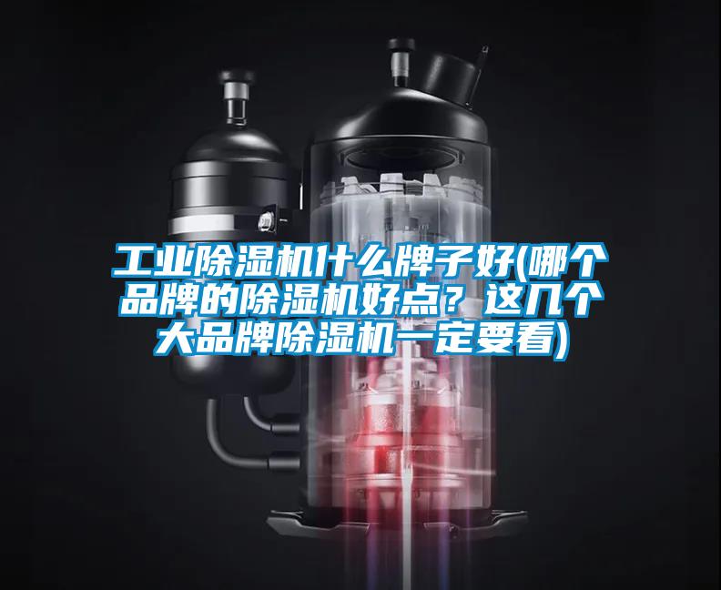 工業(yè)除濕機什么牌子好(哪個(gè)品牌的除濕機好點(diǎn)？這幾個(gè)大品牌除濕機一定要看)