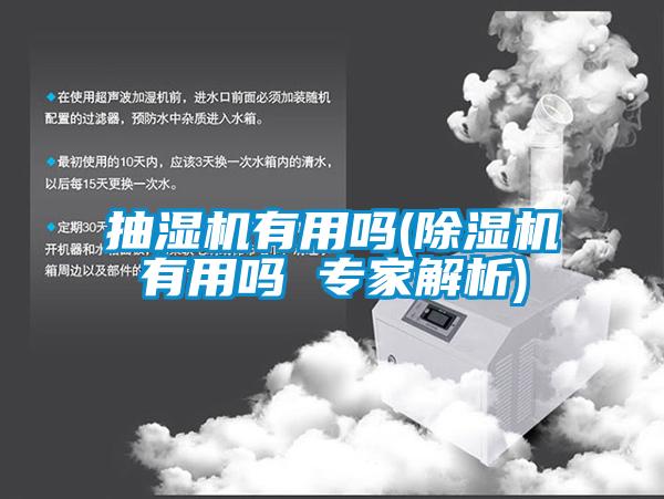 抽濕機有用嗎(除濕機有用嗎 專(zhuān)家解析)