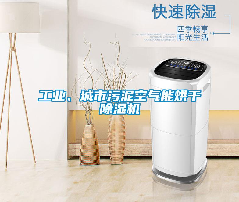 工業(yè)、城市污泥空氣能烘干除濕機