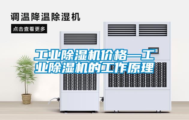 工業(yè)除濕機價(jià)格—工業(yè)除濕機的工作原理