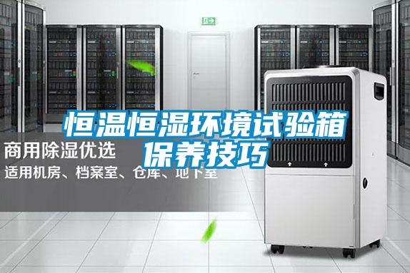 恒溫恒濕環(huán)境試驗箱保養技巧