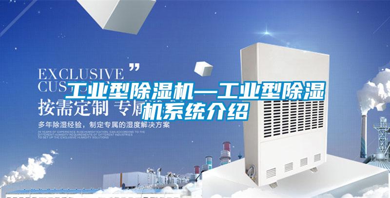 工業(yè)型除濕機—工業(yè)型除濕機系統介紹