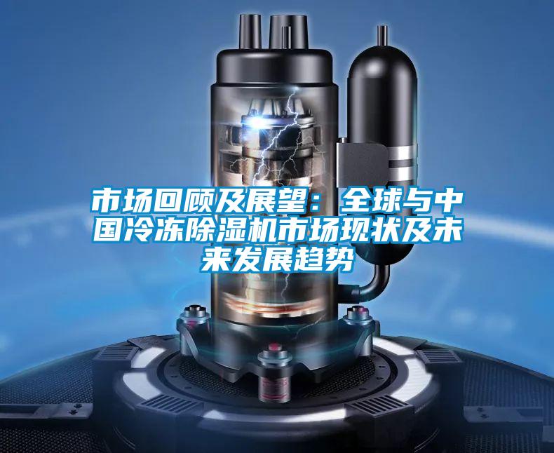 市場(chǎng)回顧及展望：全球與中國冷凍除濕機市場(chǎng)現狀及未來(lái)發(fā)展趨勢