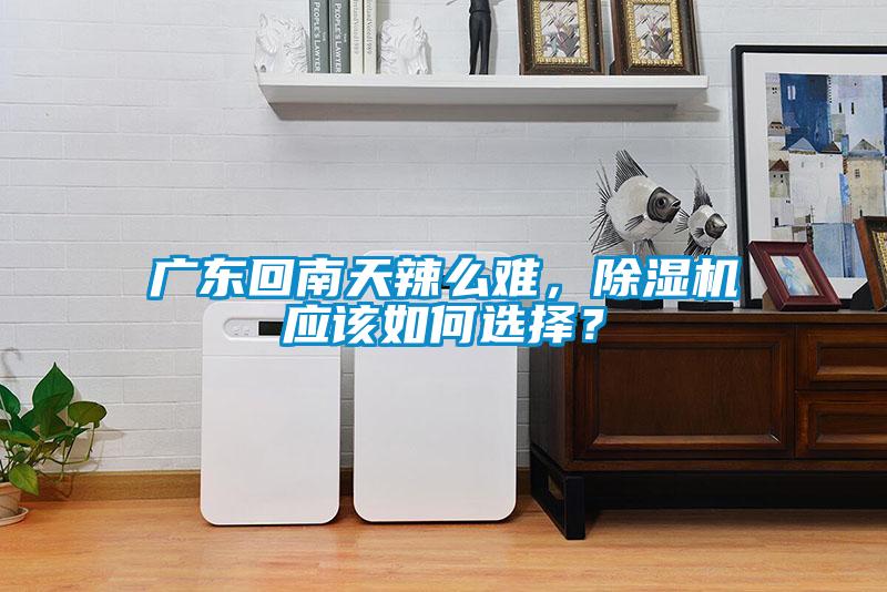 廣東回南天辣么難，除濕機應該如何選擇？