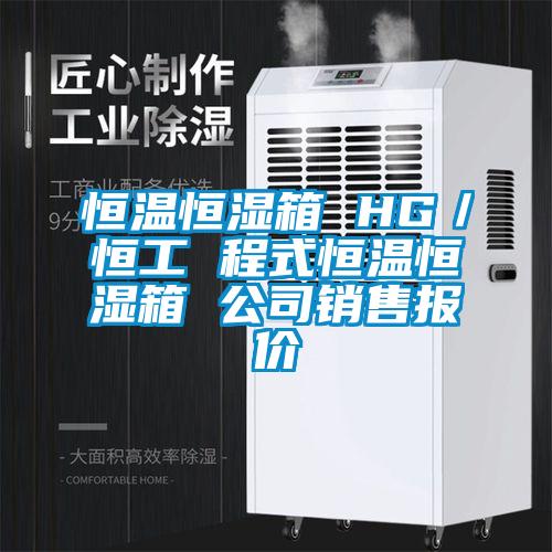 恒溫恒濕箱 HG／恒工 程式恒溫恒濕箱 公司銷(xiāo)售報價(jià)