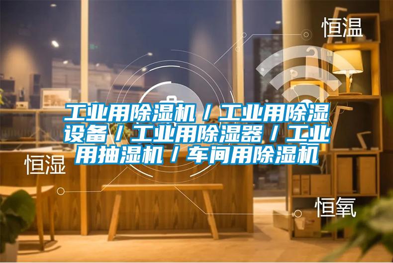 工業(yè)用除濕機／工業(yè)用除濕設備／工業(yè)用除濕器／工業(yè)用抽濕機／車(chē)間用除濕機
