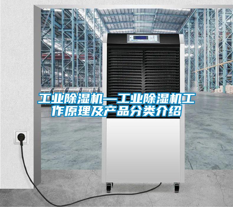 工業(yè)除濕機—工業(yè)除濕機工作原理及產(chǎn)品分類(lèi)介紹