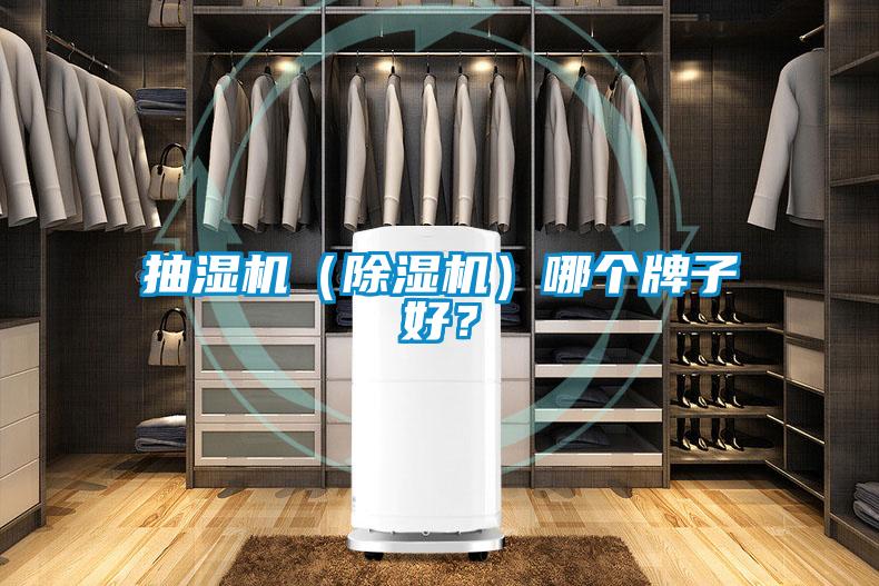 抽濕機（除濕機）哪個(gè)牌子好？