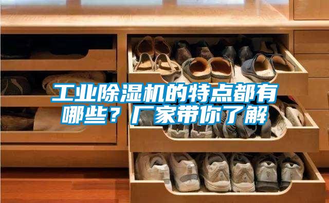 工業(yè)除濕機的特點(diǎn)都有哪些？廠(chǎng)家帶你了解