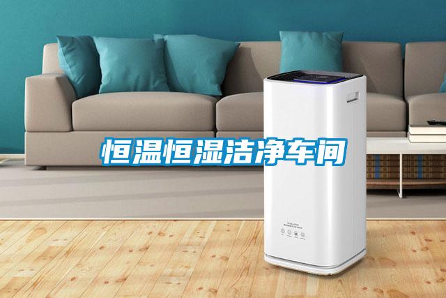 恒溫恒濕潔凈車(chē)間