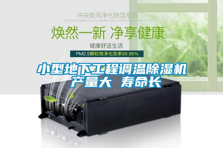 小型地下工程調溫除濕機 產(chǎn)量大 壽命長(cháng)